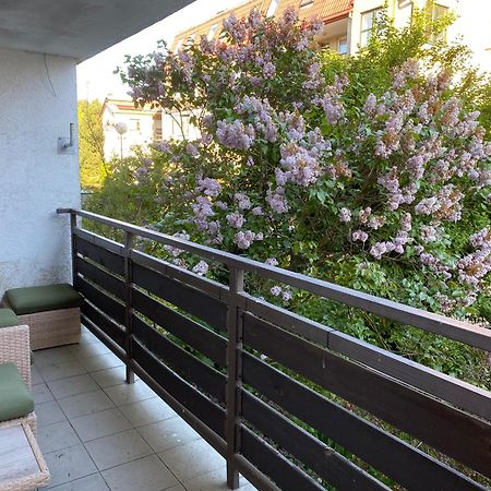 הל Lesne Apartamenty - Apartament Szary מראה חיצוני תמונה