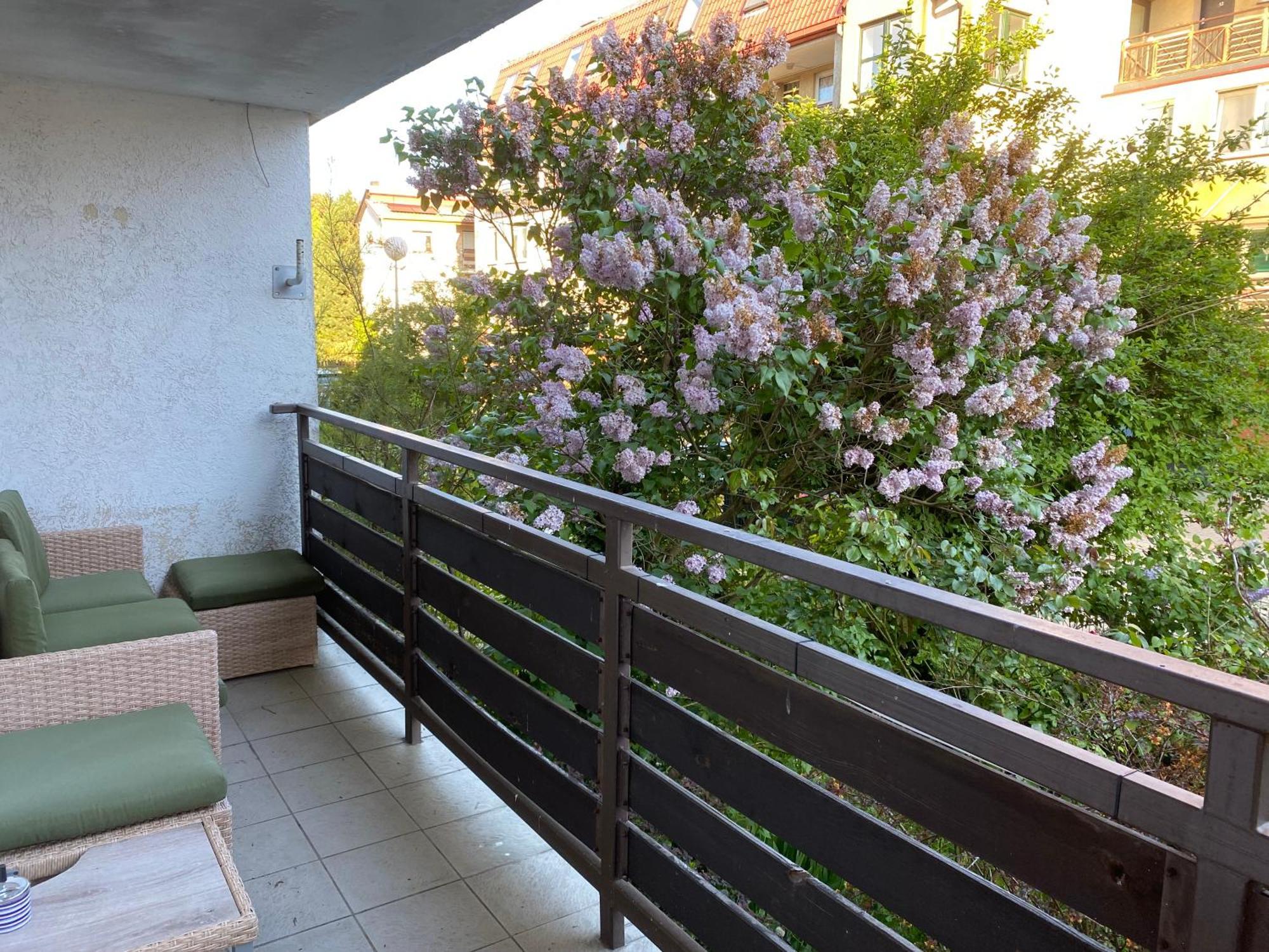 הל Lesne Apartamenty - Apartament Szary מראה חיצוני תמונה